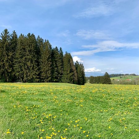 Lindners Hideaways - Bergnest Lodge - Bergblick Fewo 6 Pers Balkon Garten Hund Ski Unterkunft Luftkurort Oberreute Naehe Buchenegger Wasserfaelle Eistobel Bodensee Eksteriør billede