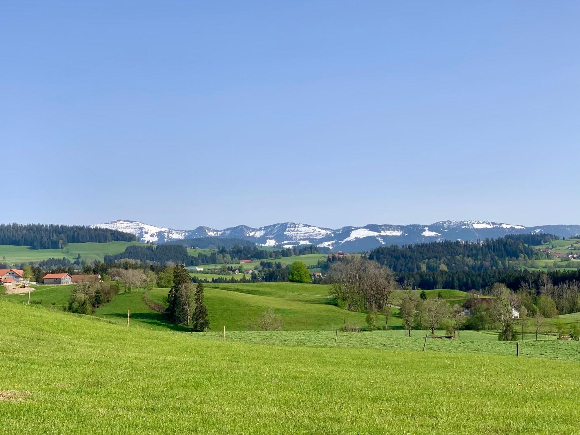 Lindners Hideaways - Bergnest Lodge - Bergblick Fewo 6 Pers Balkon Garten Hund Ski Unterkunft Luftkurort Oberreute Naehe Buchenegger Wasserfaelle Eistobel Bodensee Eksteriør billede
