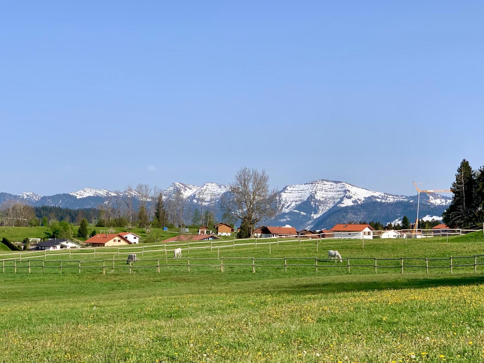 Lindners Hideaways - Bergnest Lodge - Bergblick Fewo 6 Pers Balkon Garten Hund Ski Unterkunft Luftkurort Oberreute Naehe Buchenegger Wasserfaelle Eistobel Bodensee Eksteriør billede