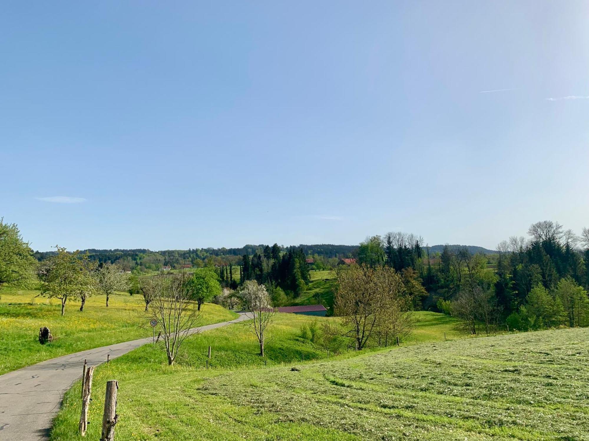Lindners Hideaways - Bergnest Lodge - Bergblick Fewo 6 Pers Balkon Garten Hund Ski Unterkunft Luftkurort Oberreute Naehe Buchenegger Wasserfaelle Eistobel Bodensee Eksteriør billede