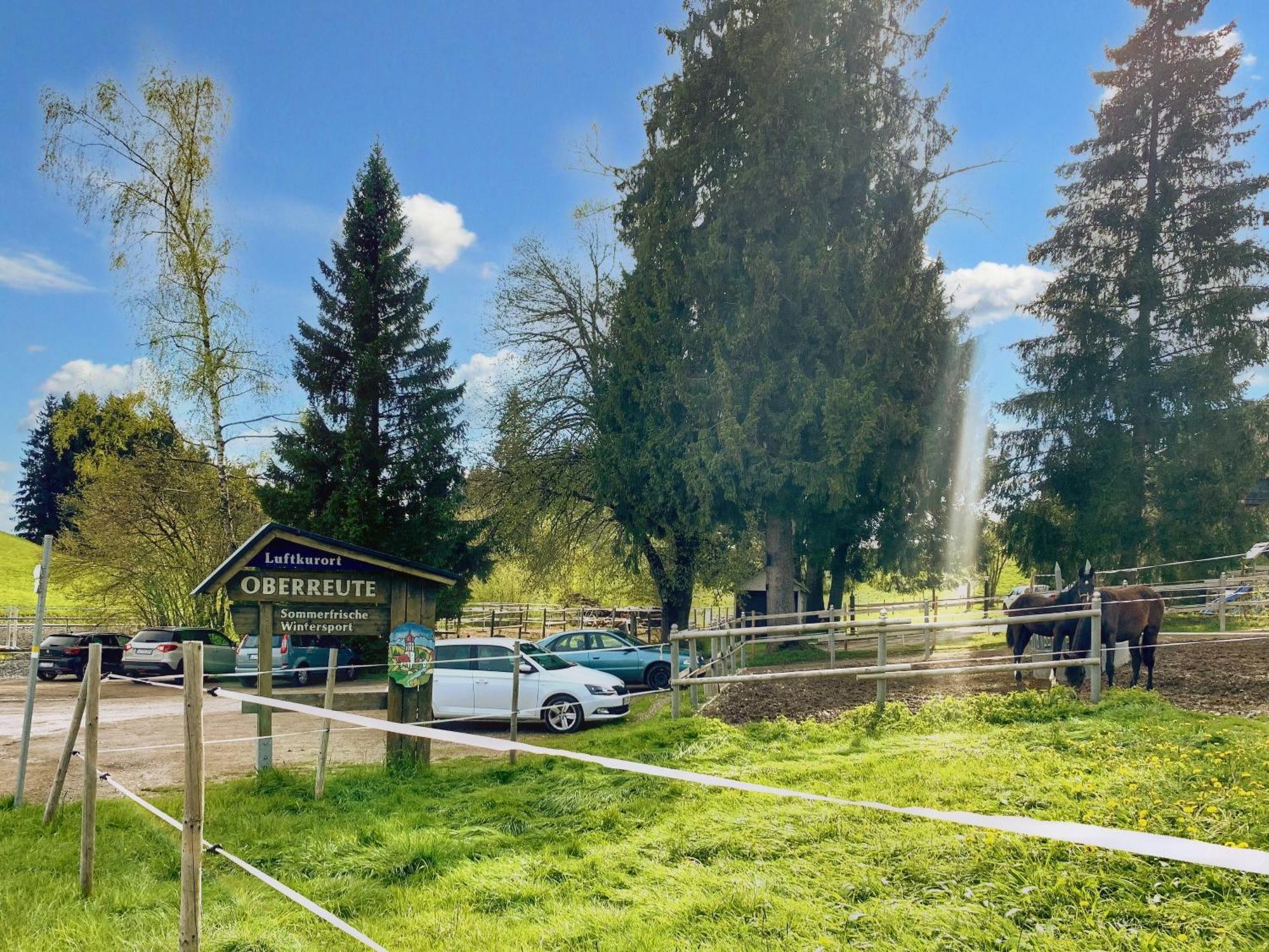 Lindners Hideaways - Bergnest Lodge - Bergblick Fewo 6 Pers Balkon Garten Hund Ski Unterkunft Luftkurort Oberreute Naehe Buchenegger Wasserfaelle Eistobel Bodensee Eksteriør billede