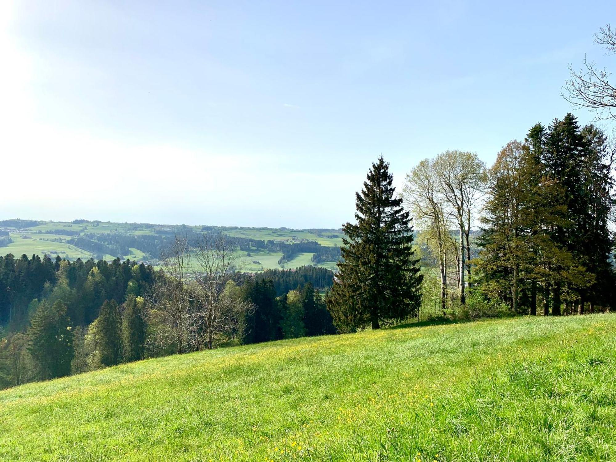 Lindners Hideaways - Bergnest Lodge - Bergblick Fewo 6 Pers Balkon Garten Hund Ski Unterkunft Luftkurort Oberreute Naehe Buchenegger Wasserfaelle Eistobel Bodensee Eksteriør billede